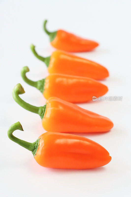 橙色迷你辣椒(Capsicum annuum)柱的特写图像，白色背景，聚焦于前景